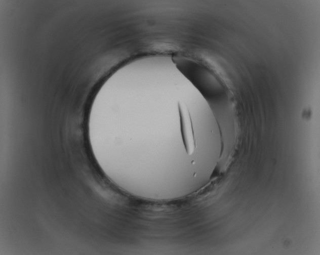 X0000094930443200712131541