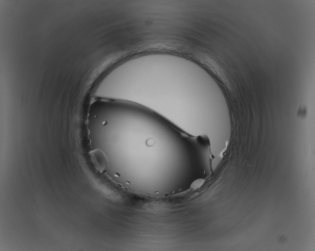 X0000094930444200712131541