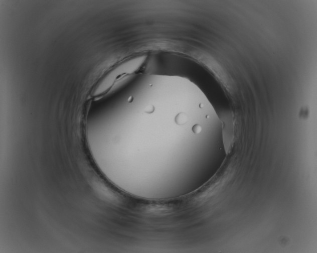 X0000094930445200712131541