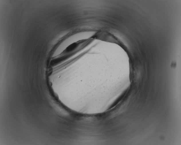 X0000094930446200712131541