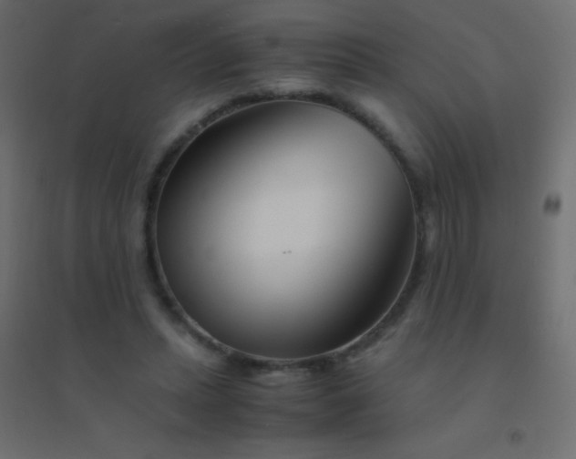 X0000094930447200712131541