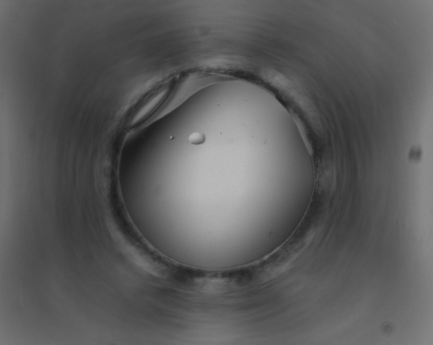 X0000094930448200712131541