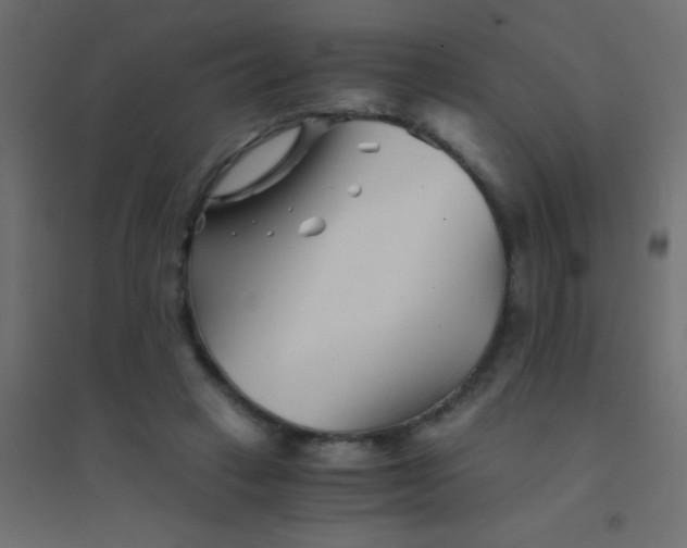 X0000094930449200712131541