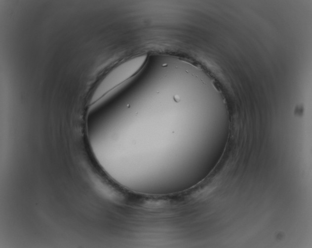 X0000094930450200712131541