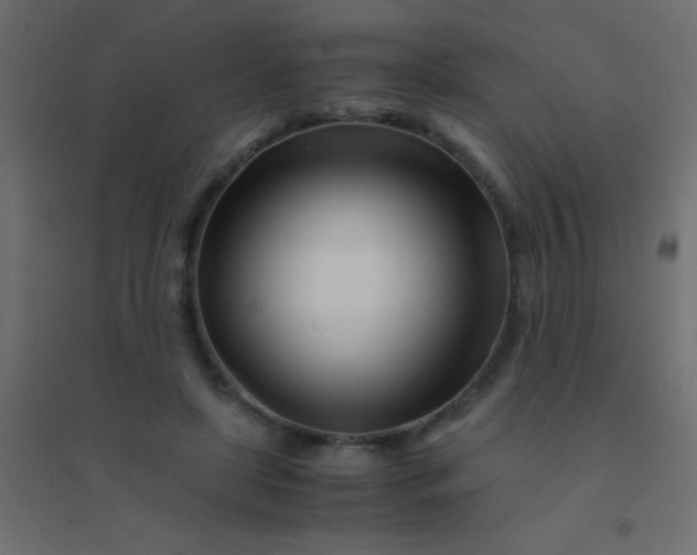 X0000094930451200712131541