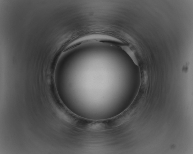 X0000094930452200712131541