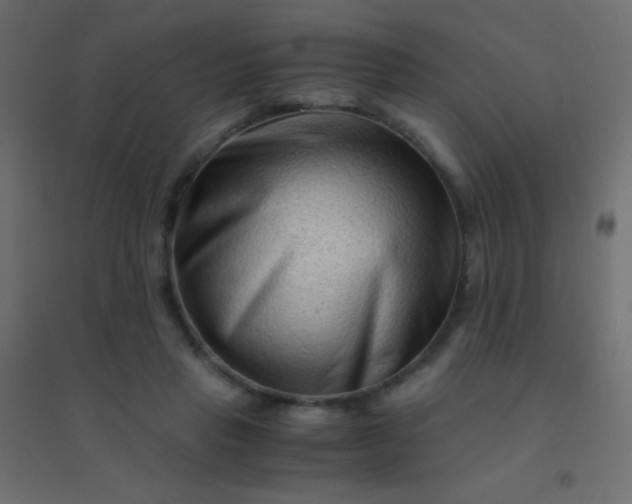 X0000094930453200712131541