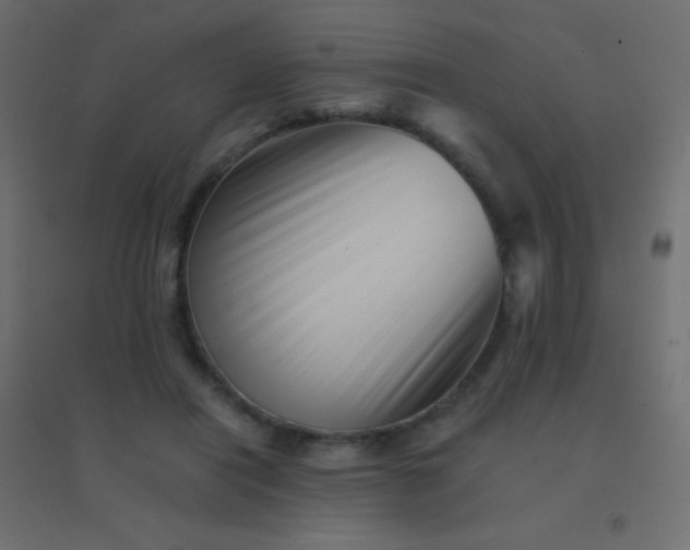 X0000094930454200712131541