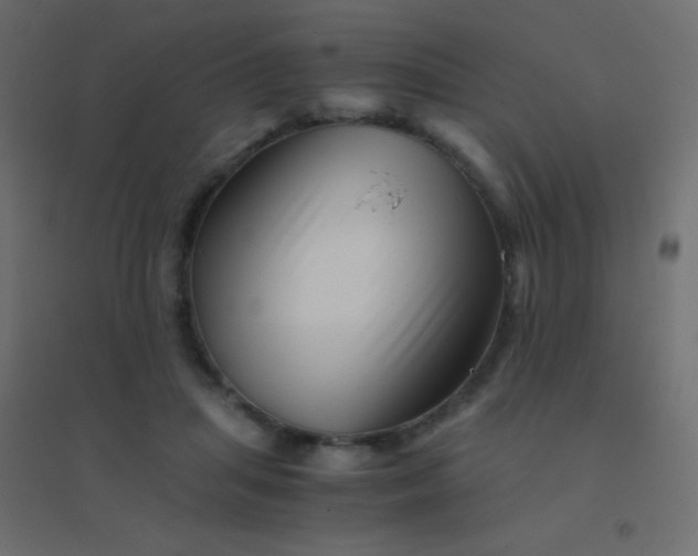X0000094930455200712131541
