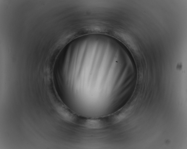 X0000094930457200712131541