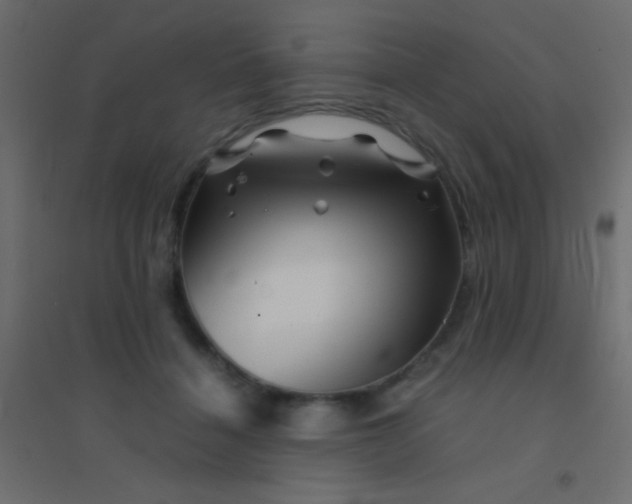 X0000094930460200712131541
