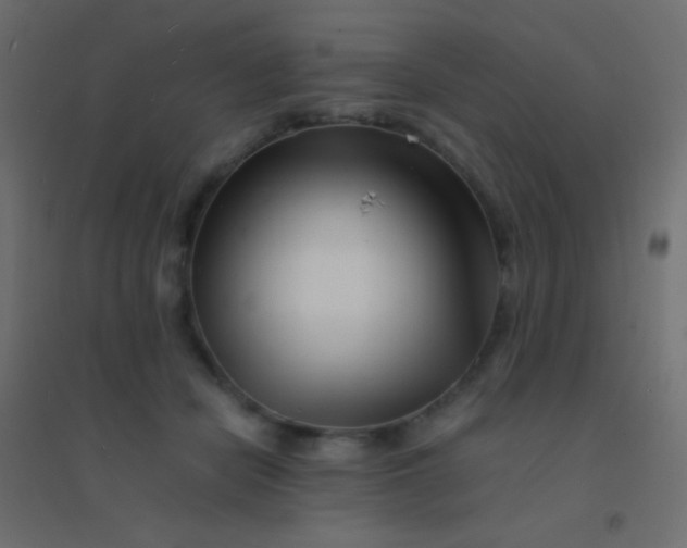 X0000094930462200712131541