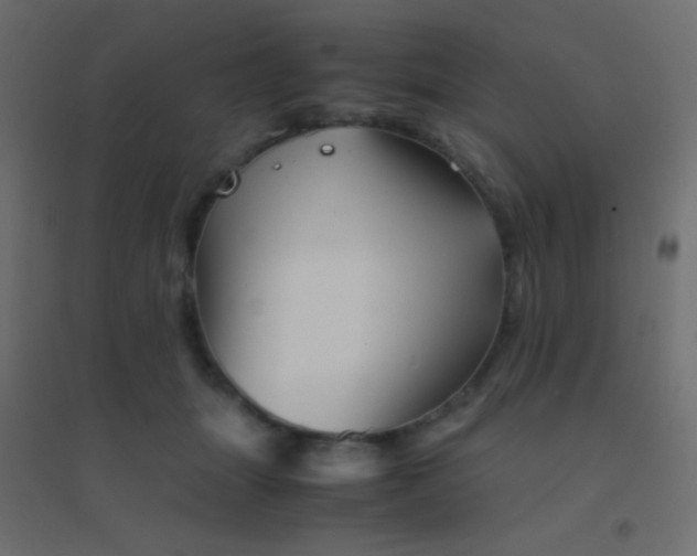 X0000094930463200712131541