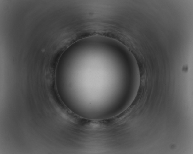 X0000094930464200712131541