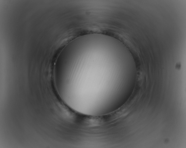X0000094930466200712131541
