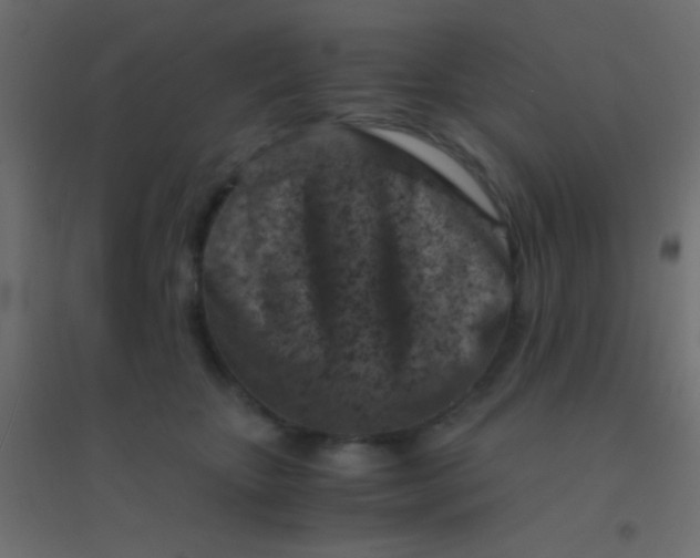 X0000094930467200712131541