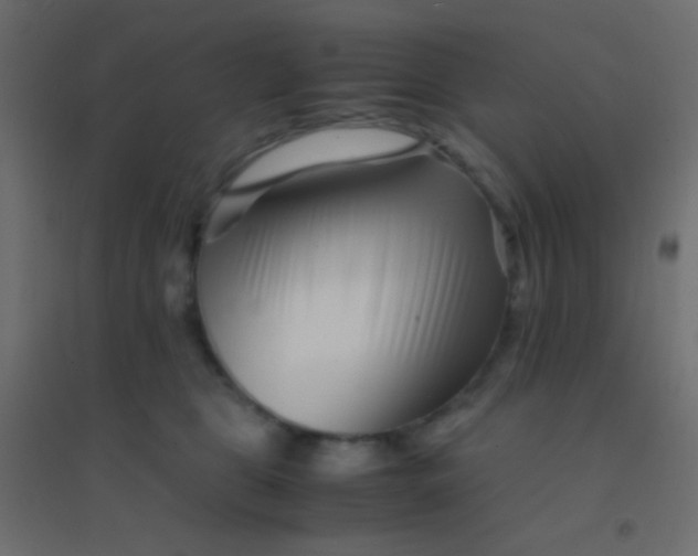 X0000094930469200712131541
