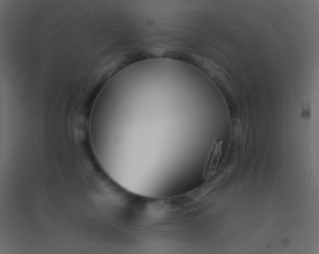 X0000094930470200712131541