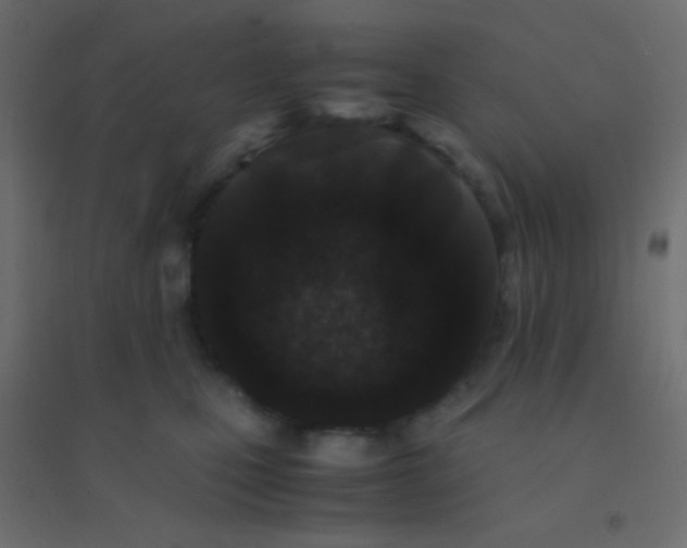 X0000094930471200712131541