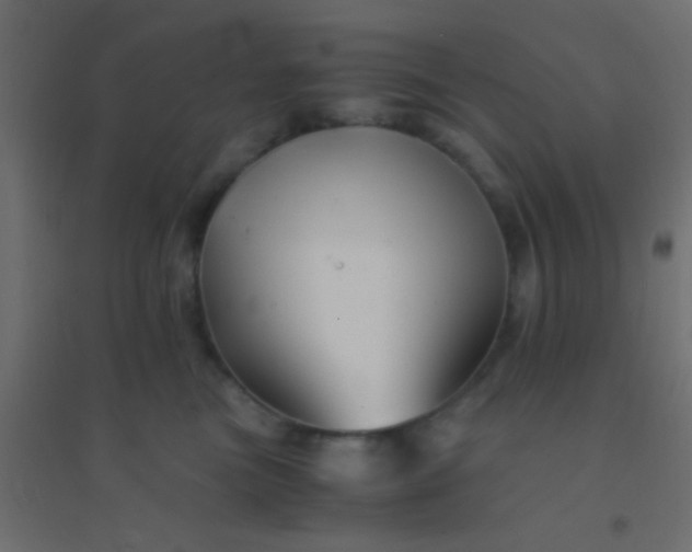 X0000094930473200712131541