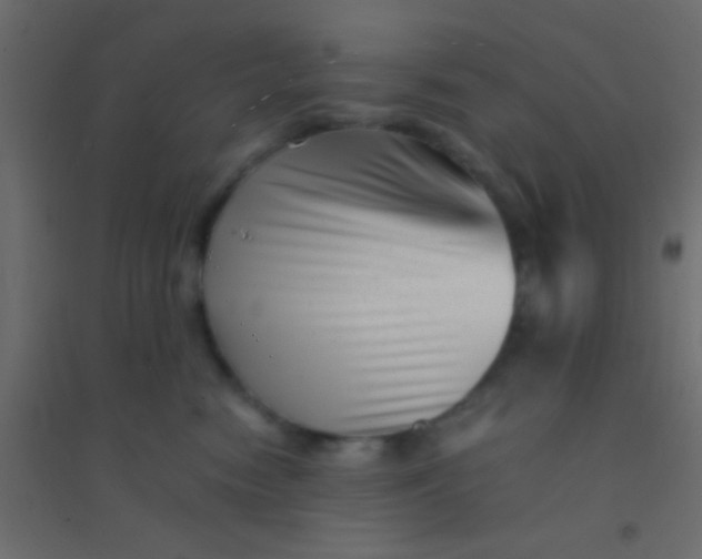 X0000094930474200712131541