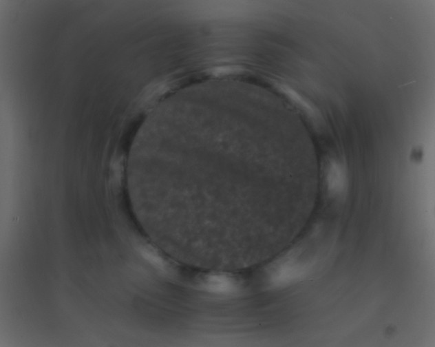X0000094930475200712131541