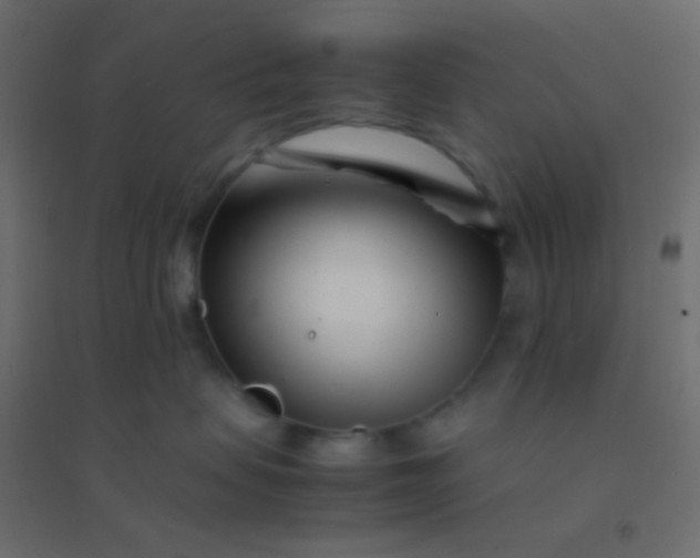 X0000094930479200712131541