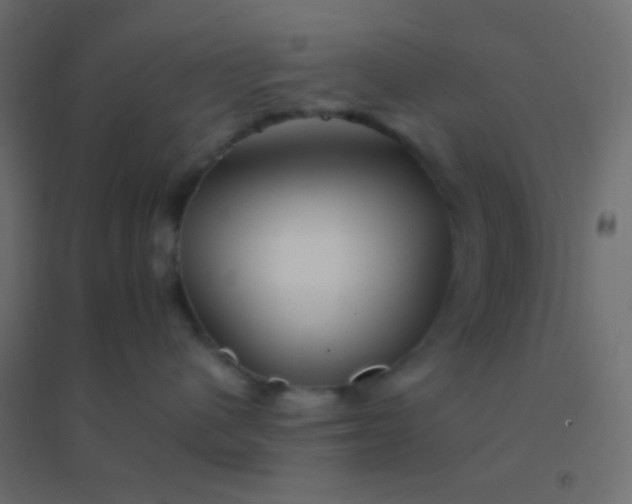 X0000094930480200712131541