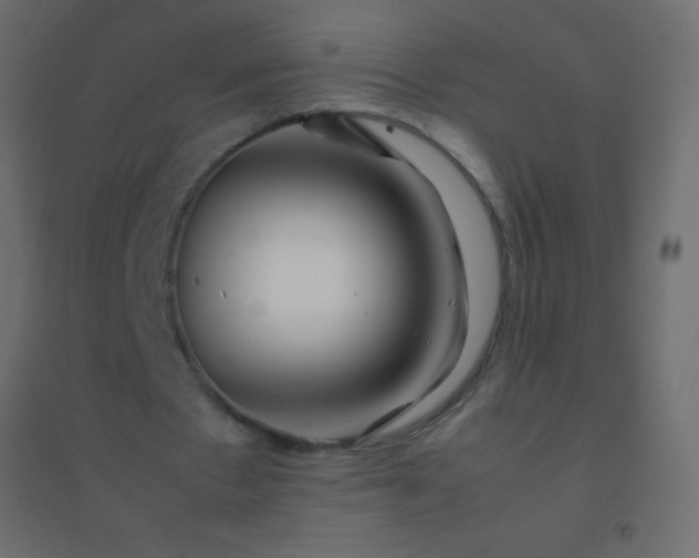 X0000094930481200712131541