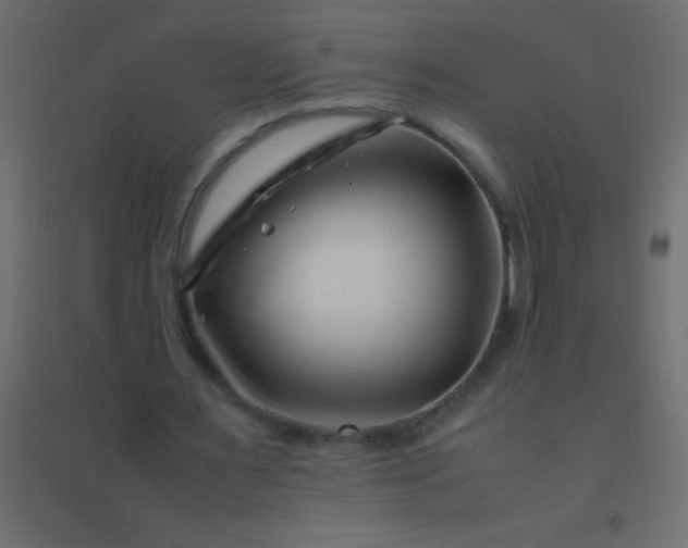 X0000094930483200712131541