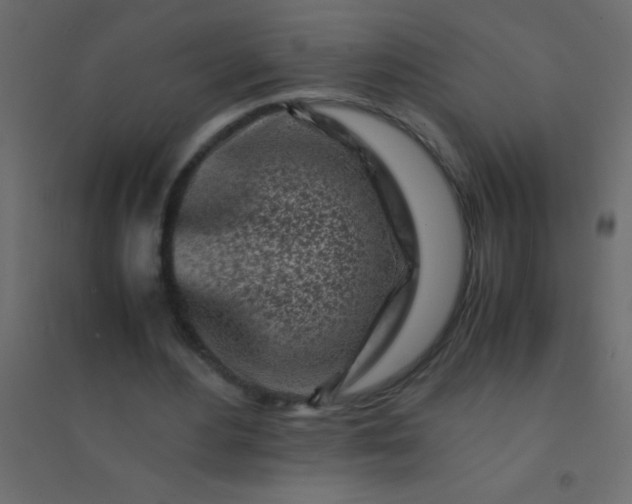X0000094930484200712131541
