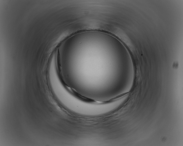 X0000094930485200712131541
