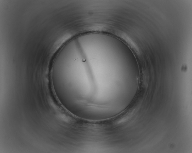 X0000094930486200712131541