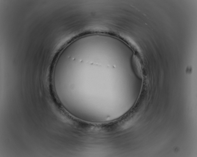 X0000094930487200712131541