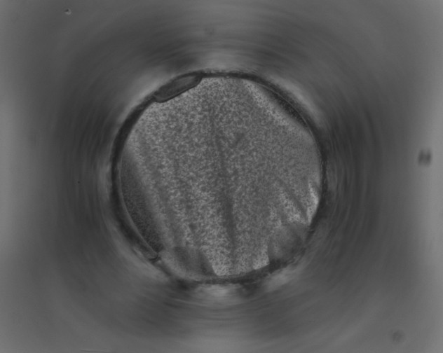 X0000094930488200712131541
