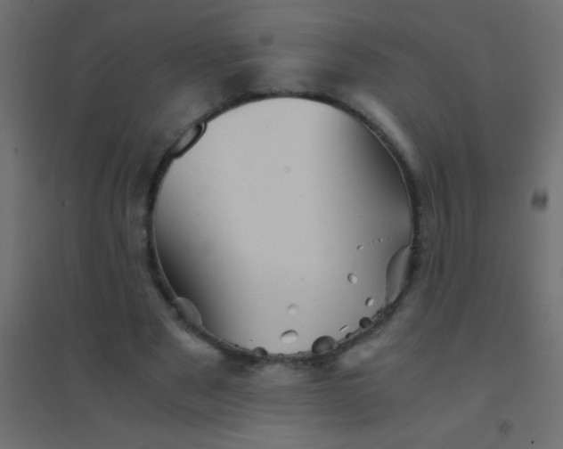 X0000094930489200712131541