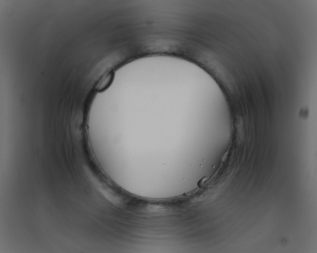 X0000094930490200712131541