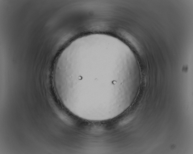 X0000094930491200712131541