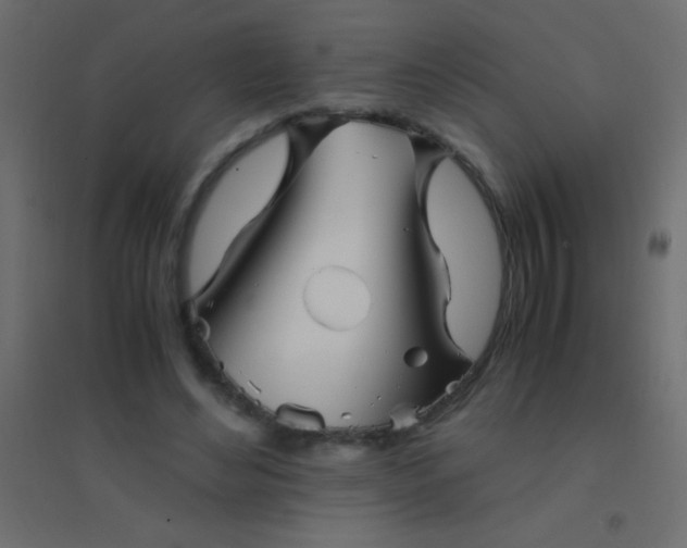 X0000094930492200712131541