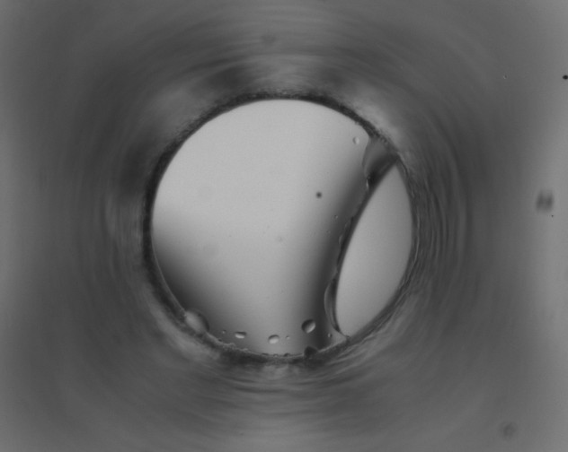X0000094930493200712131541