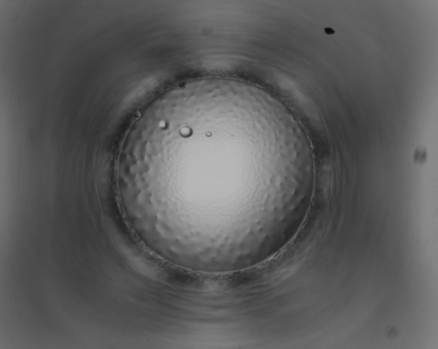 X0000094930495200712131540