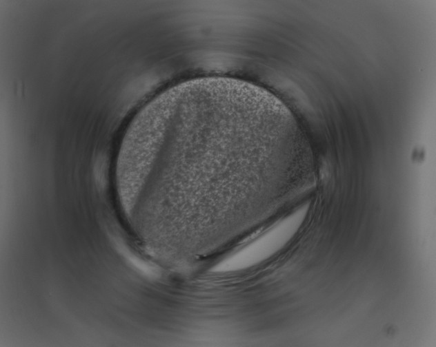 X0000094930496200712131540