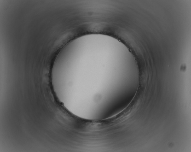 X0000094930497200712131540