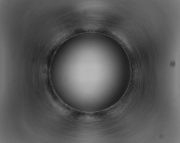 X0000094930498200712131540