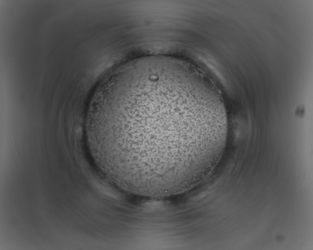 X0000094930499200712131540