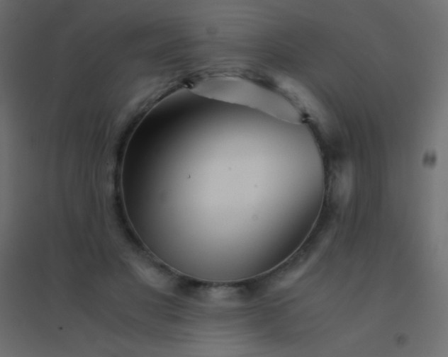 X0000094930501200712131540