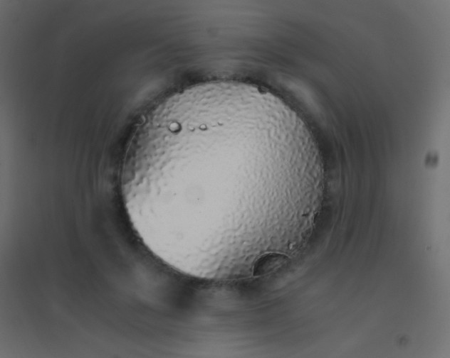 X0000094930503200712131540