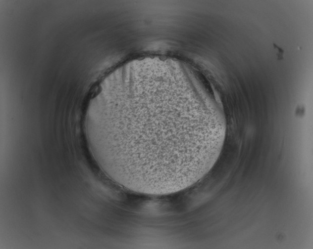 X0000094930504200712131540
