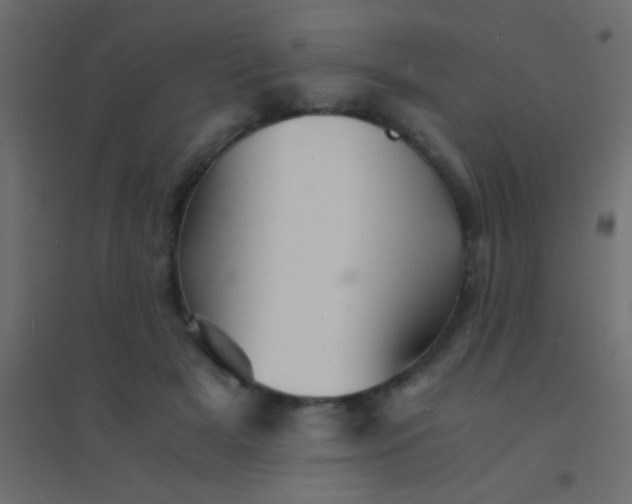 X0000094930505200712131540