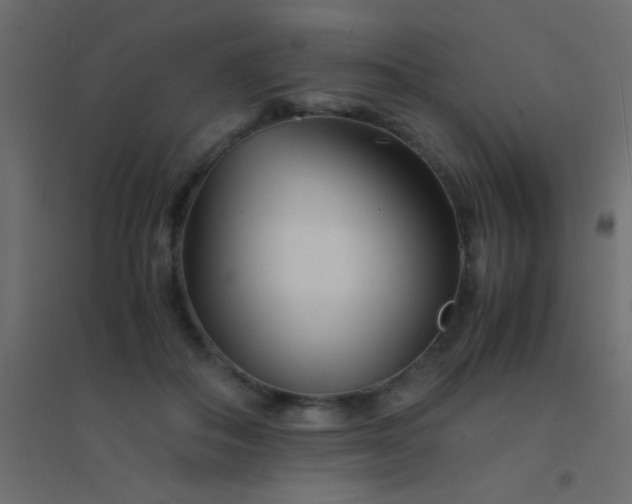X0000094930506200712131540